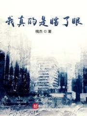 我真的瞎了眼爱上你