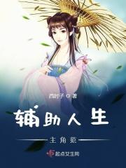 辅助人什么意思