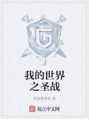 我的世界圣杯战争