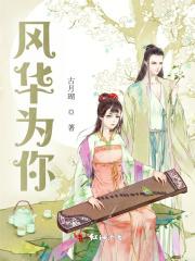 风华是你是什么意思