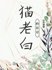 老白猫是什么意思