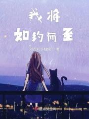 我将如约而至是王者里哪个英雄