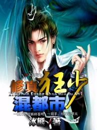 修真狂少混都市冰雄著