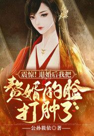 退婚赘婿的逆天崛起