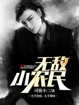 无敌小农民全文免费阅读