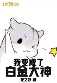 绝世全才高手免费阅读