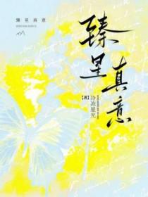 臻鑫真意