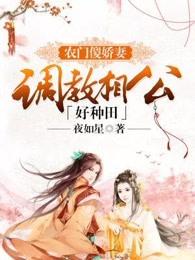 农门傻女腹黑相公