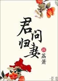 君问归妻破解版