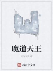 魔道天宫
