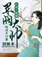 军阀大帅有点坏