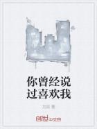 你曾说过的喜欢是什么歌的歌词