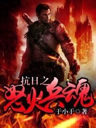 抗日之怒火兵魂TXT