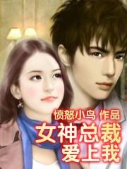 女神总裁爱上我免费阅读