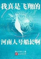 我真是飞翔的河南人号船长啊笔趣阁