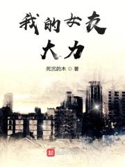 我的女友诸葛大力林凡免费