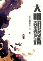 大明朝赘婿免费