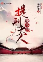 提刑大人使不得起点