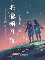 与君共赏明月夜下一句