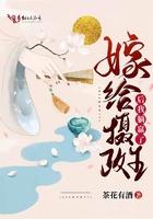 嫁给摄政王后我躺赢了 第501章