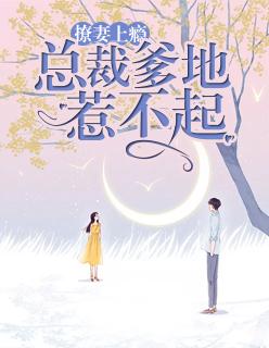 总裁爹的撩上瘾