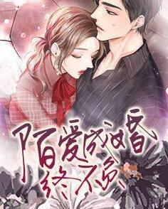 秦宛靳予城免费阅读