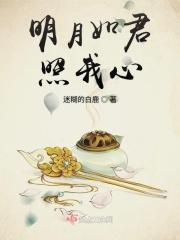 明月照我心我心如明月