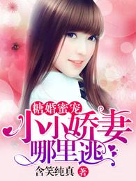 糖婚蜜宠：小小娇妻哪里逃